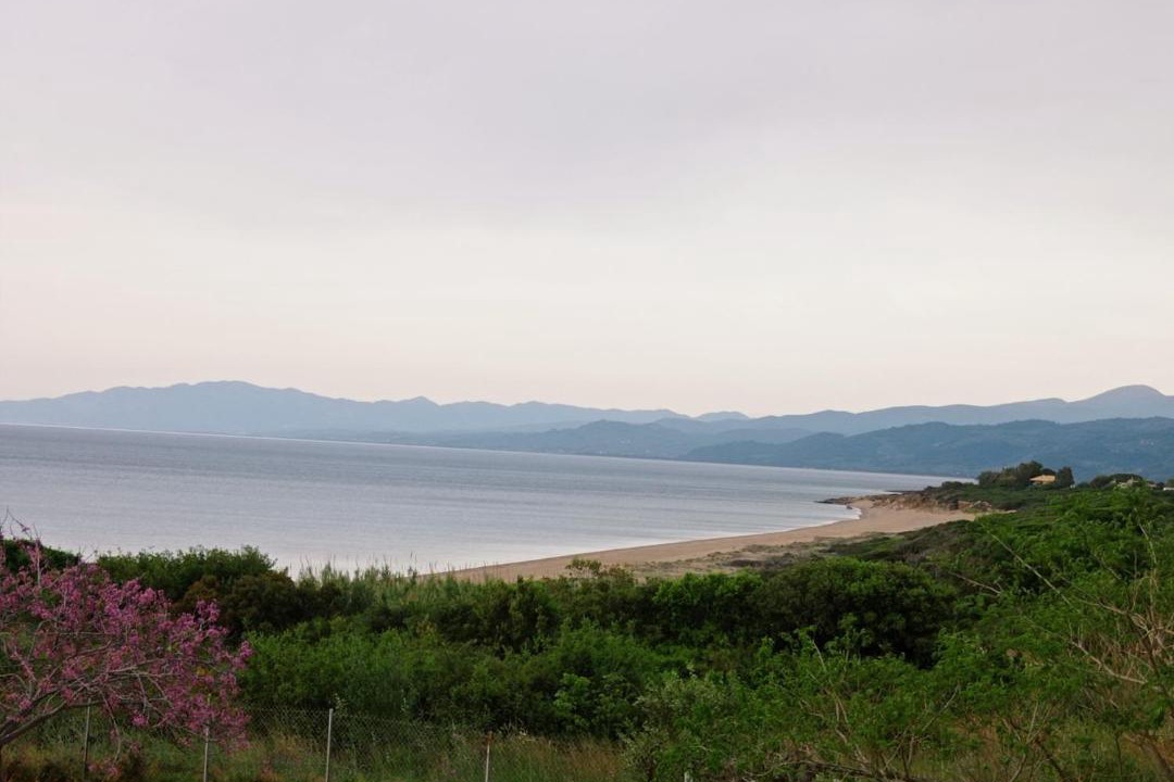Photo of Outdoor in Kiparissia
