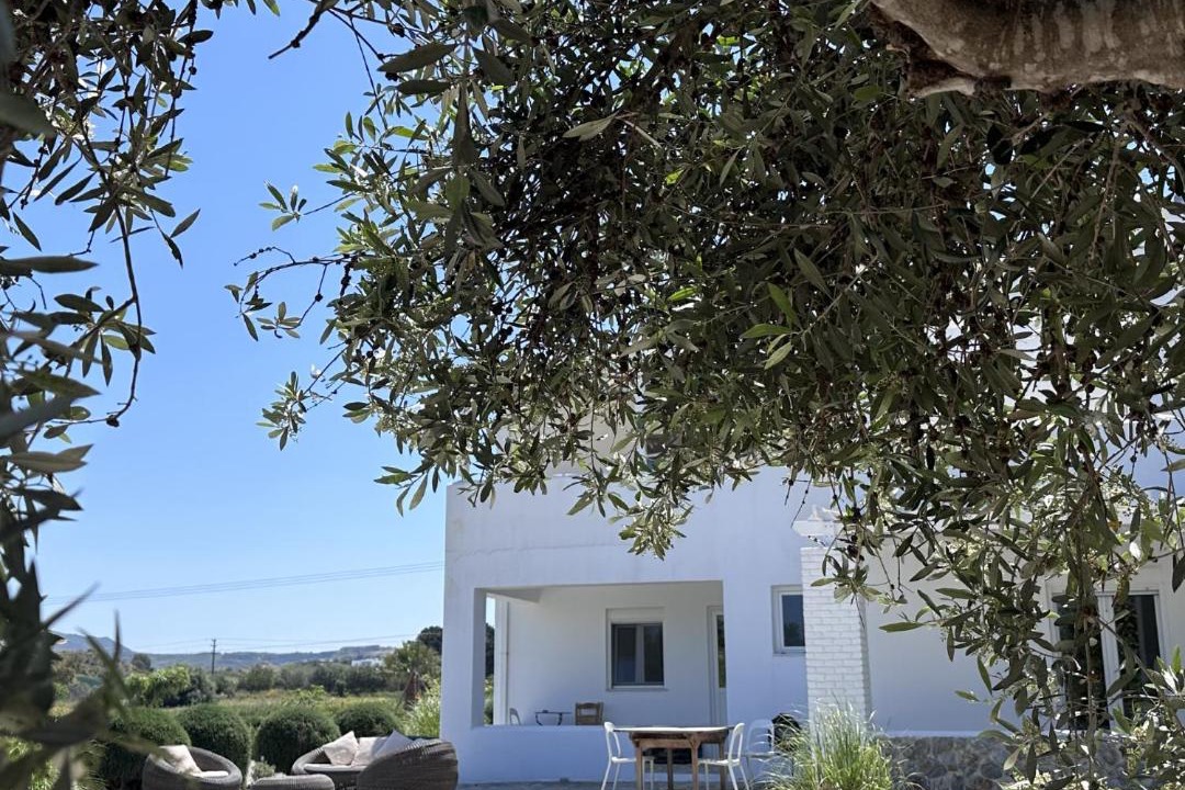 Photo of Buildings in Mastichari
