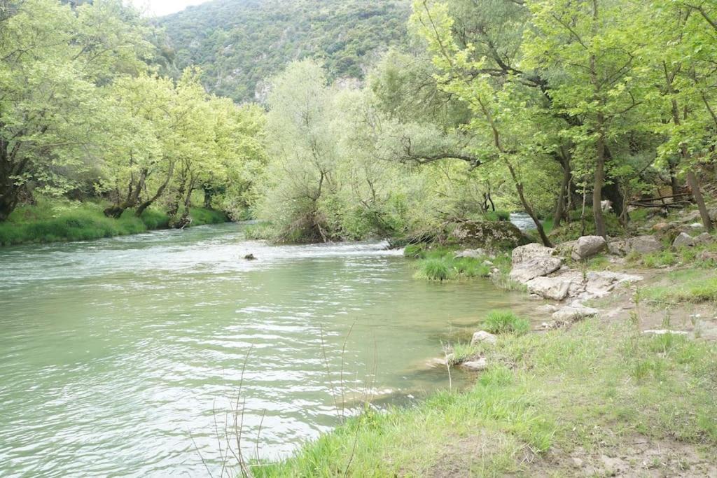 Photo of Others in Andritsaina