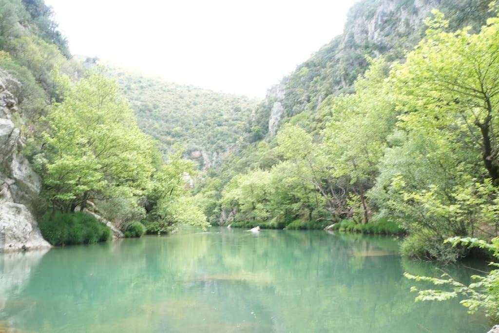 Photo of Others in Andritsaina
