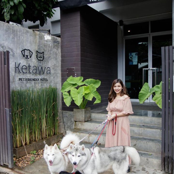 Photo of Others in Chiang Mai