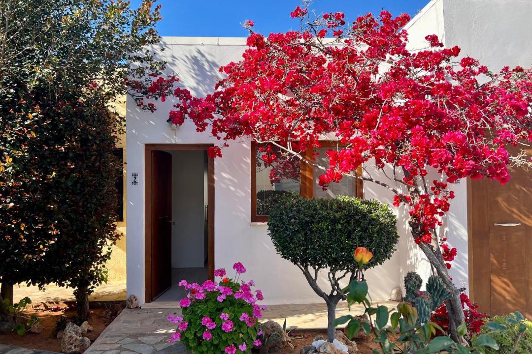 Photo of Buildings in Malia