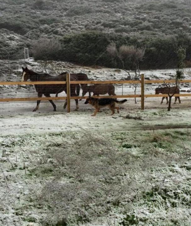 Photo of Others in Skiros