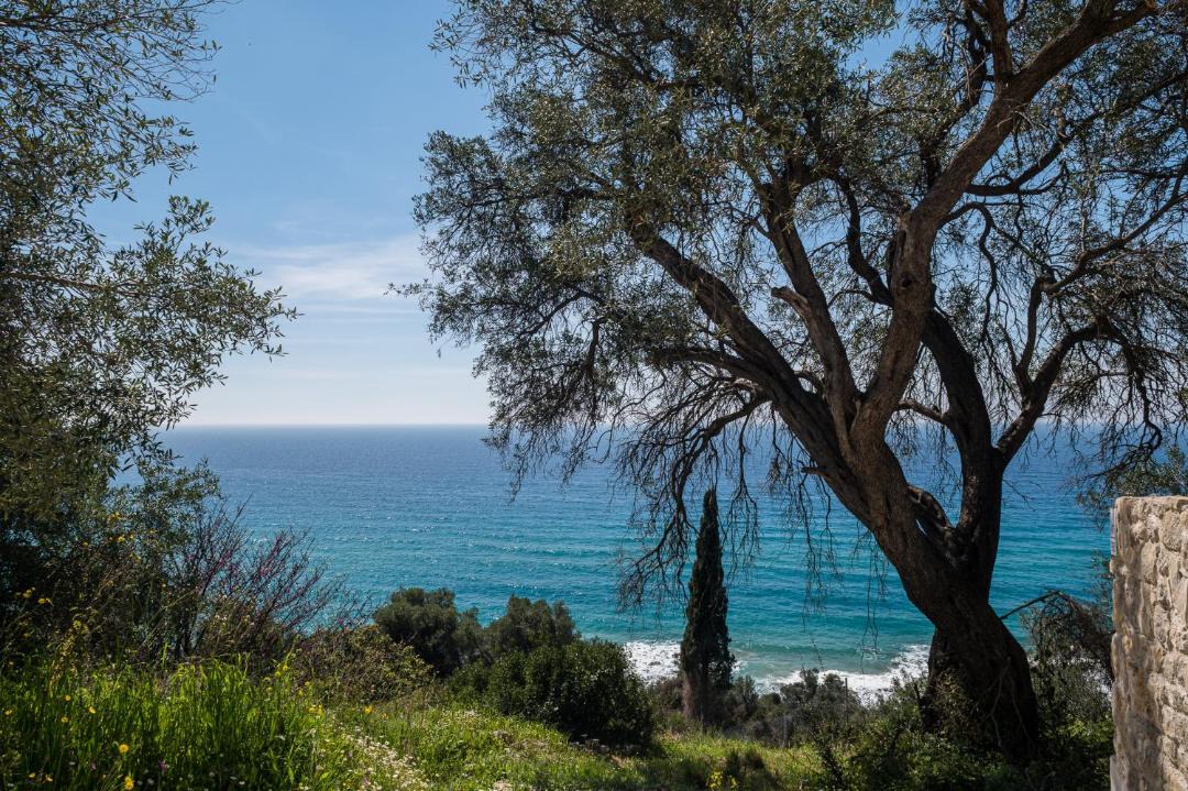 Photo of Others in Corfu