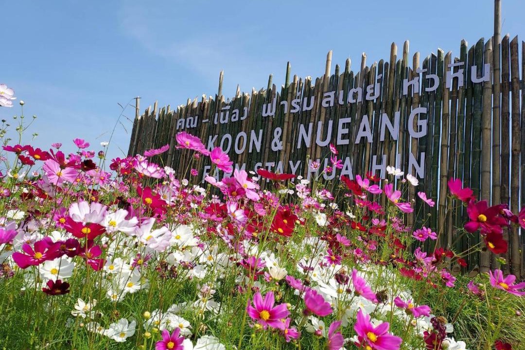 Photo of Others in Hua Hin