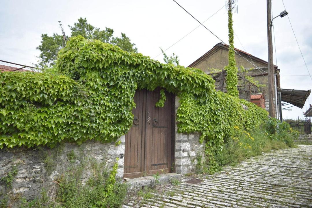 Photo of Others in Zitsa