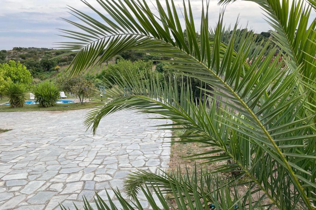 Photo of Others in Aristotelis