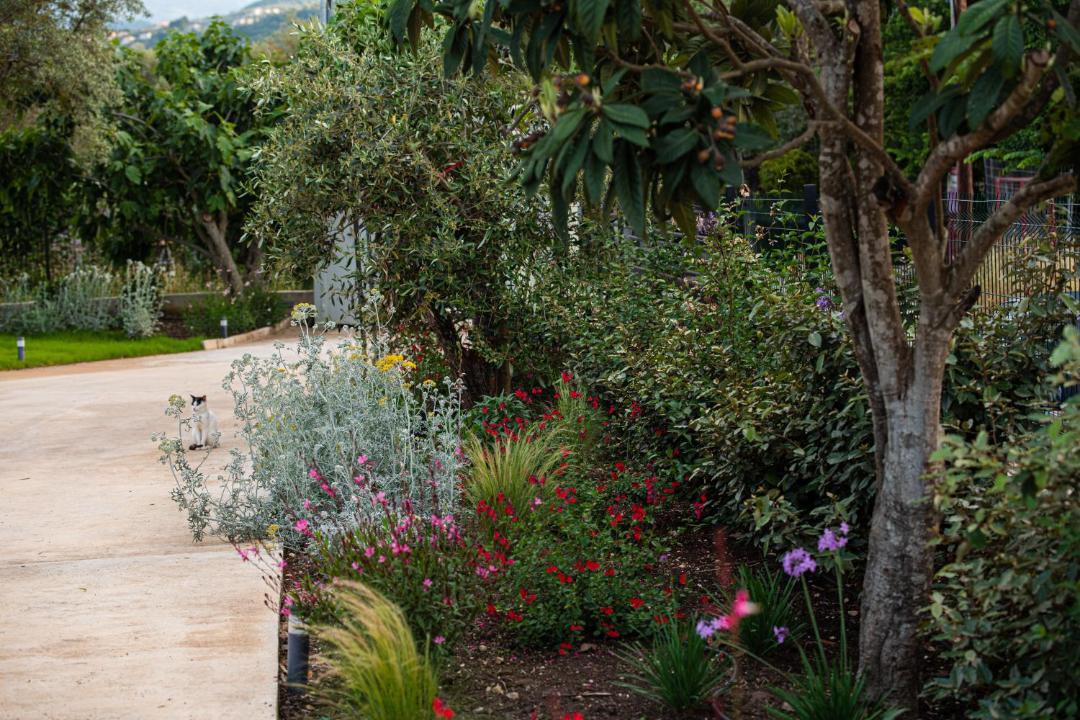 Photo of Outdoor in Lefkada Town