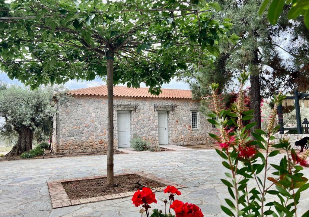 Photo of Buildings in Ermionida