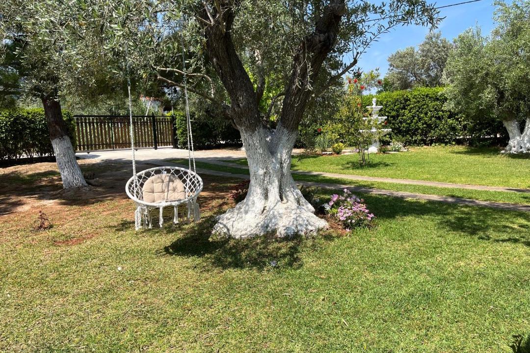 Photo of Others in Chalcis