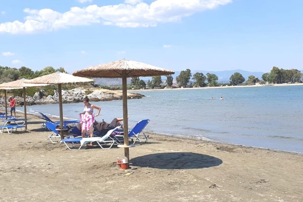 Photo of Outdoor in Logothetianika