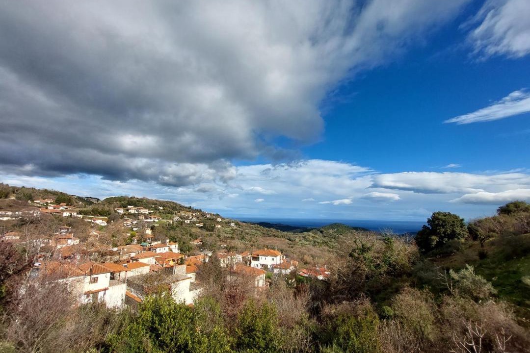 Photo of Others in Agia