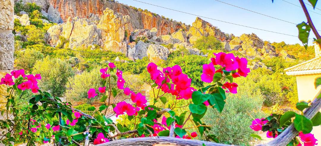 Photo of Others in Nafplio