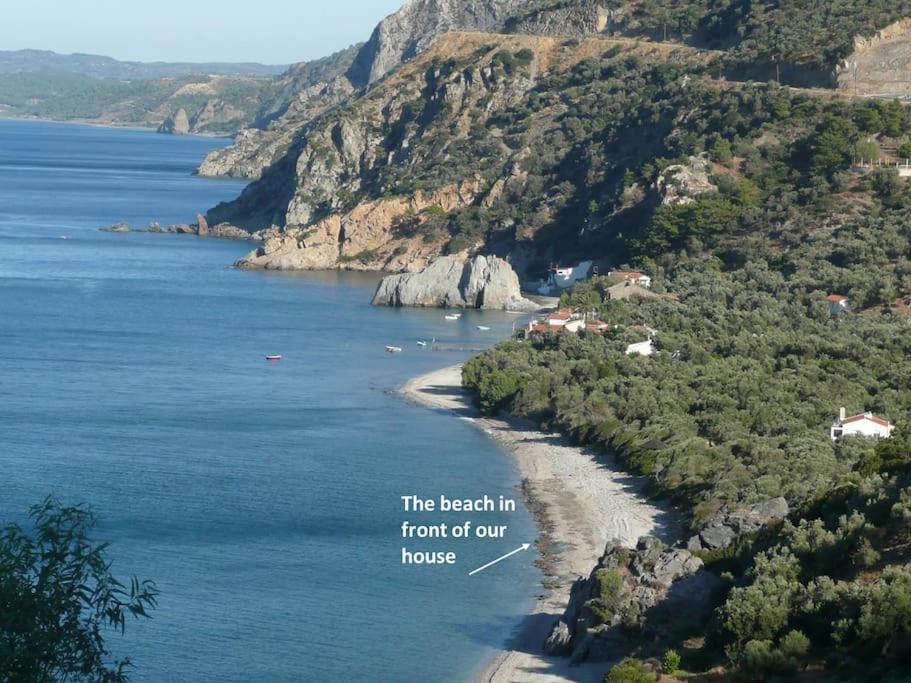 Photo of Outdoor in Melinta