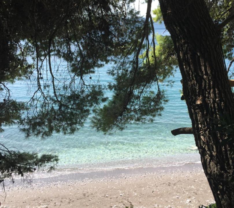 Photo of Others in Paradise Beach