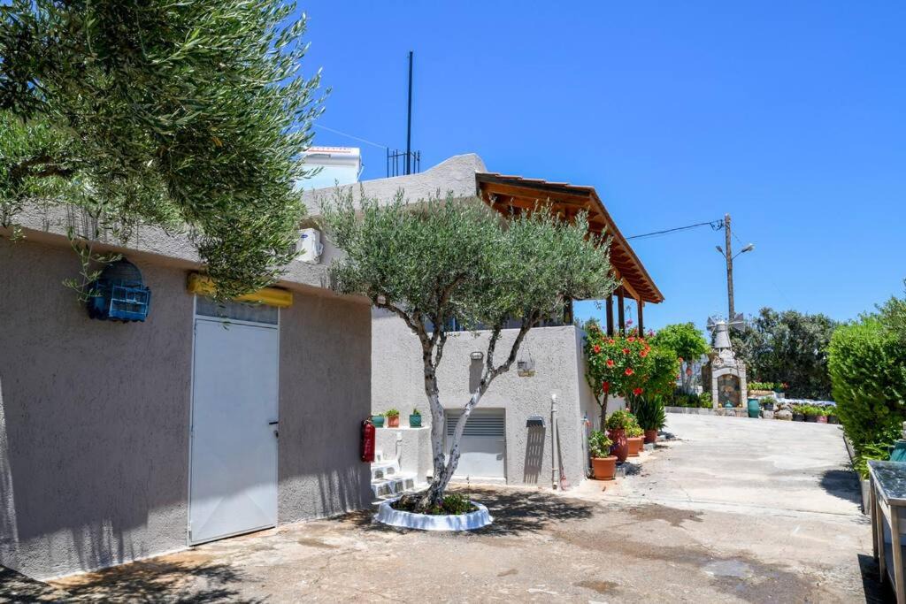 Photo of Buildings in Agios Nikolaos