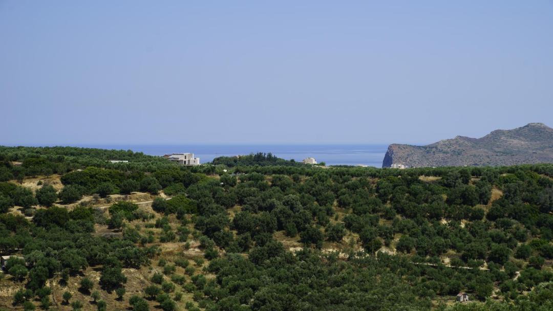 Photo of Others in Stalos