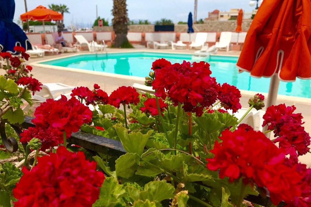Photo of Outdoor in Aegina Town