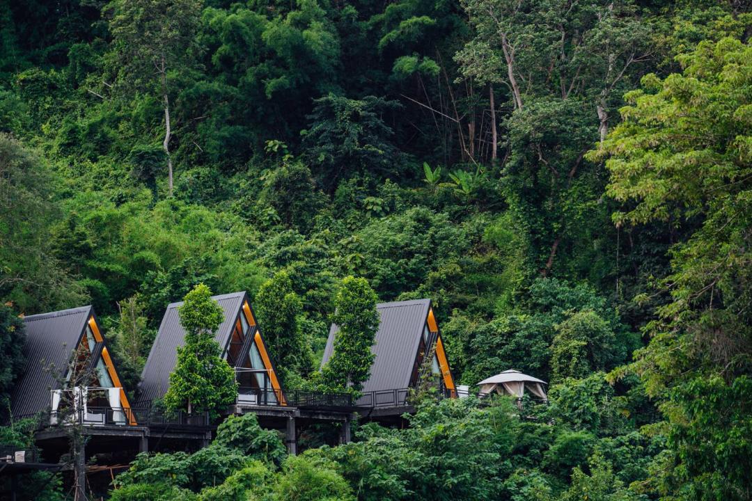 Photo of Others in Doi Luang