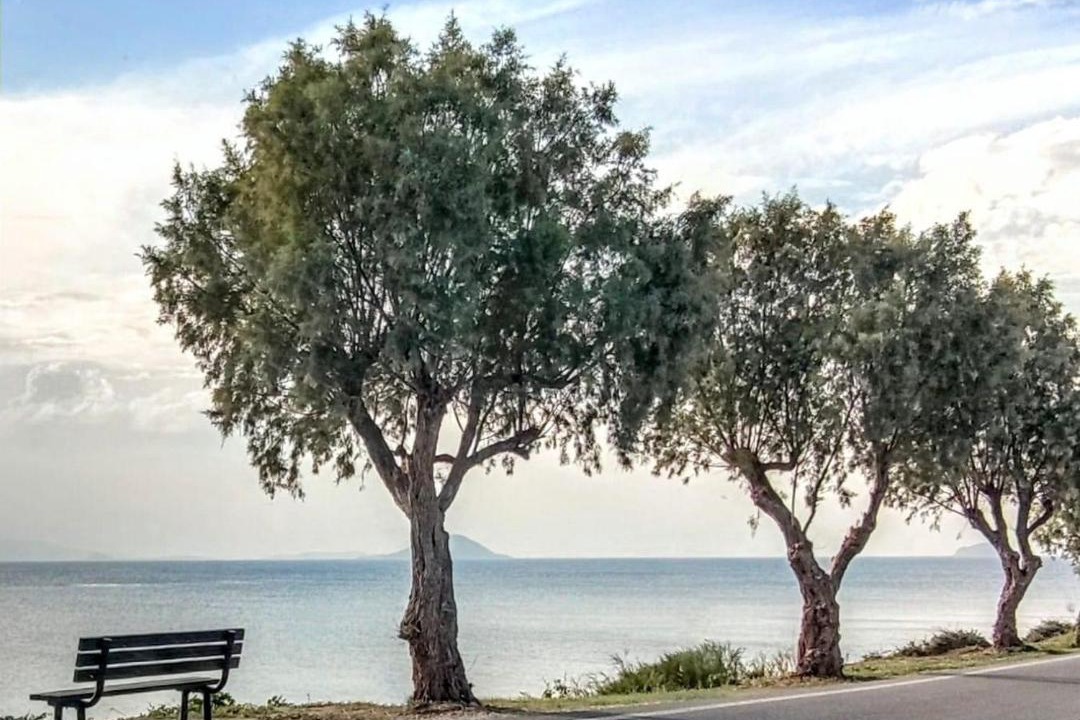 Photo of Others in Aegina Town