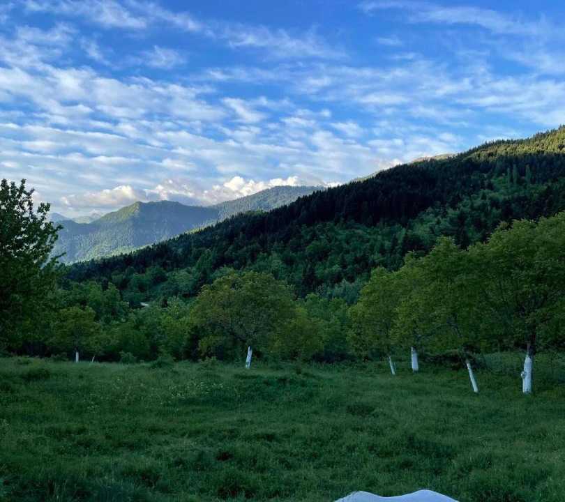 Photo of Others in Vlacha