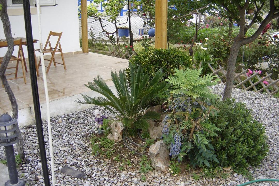 Photo of Others in Rafina-Pikermi