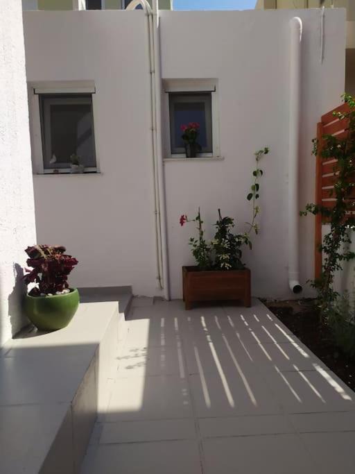 Photo of Others in Kos Town