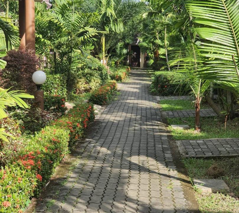 Photo of Outdoor in Chiang Rai