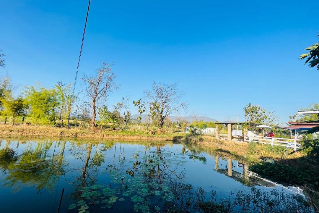 Photo of Others in Nong Bua Daeng