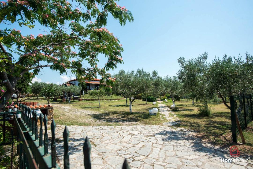 Photo of Others in Alexandroupoli