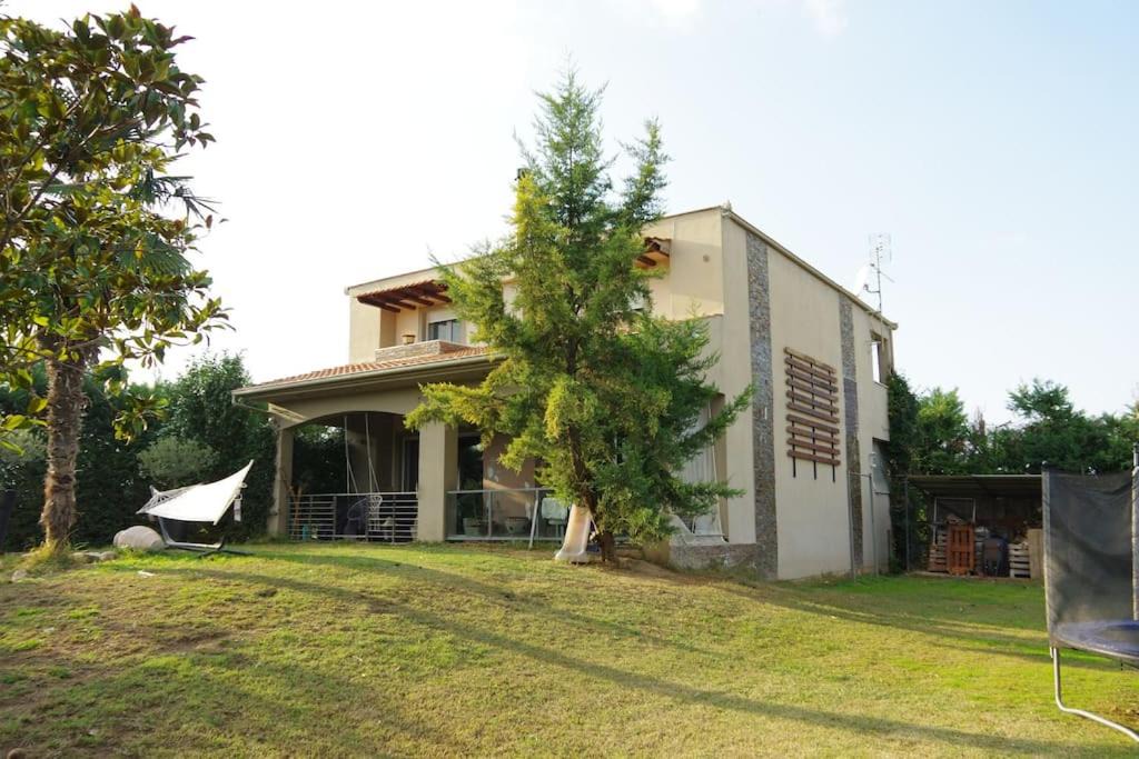 Photo of Buildings in Trikala