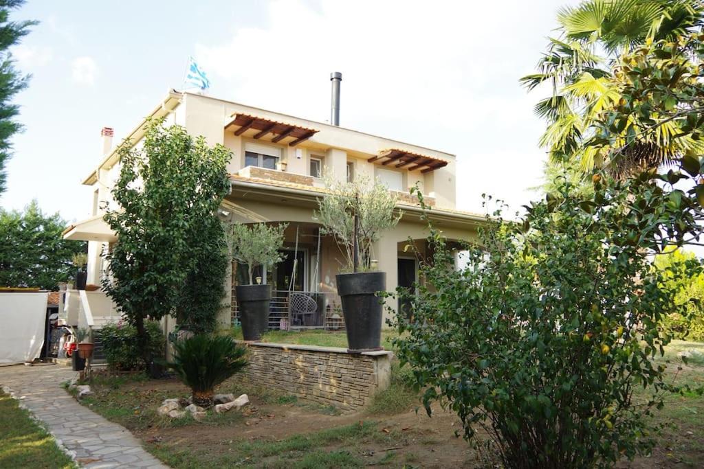 Photo of Buildings in Trikala