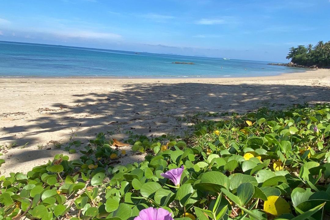Photo of Others in Ko Lanta