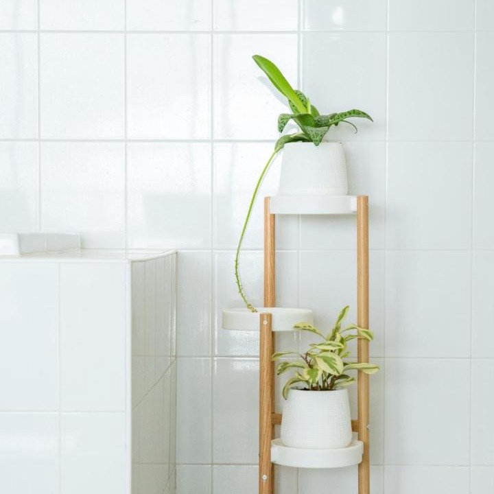 Photo of Bathroom in Kata