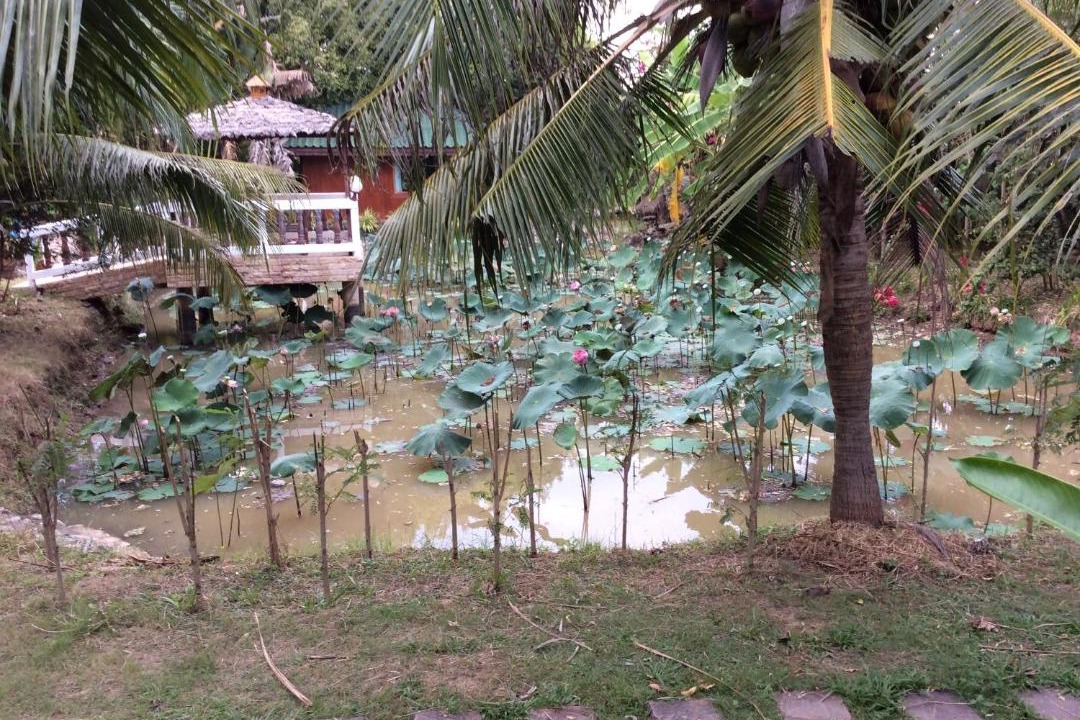 Photo of Others in Sila