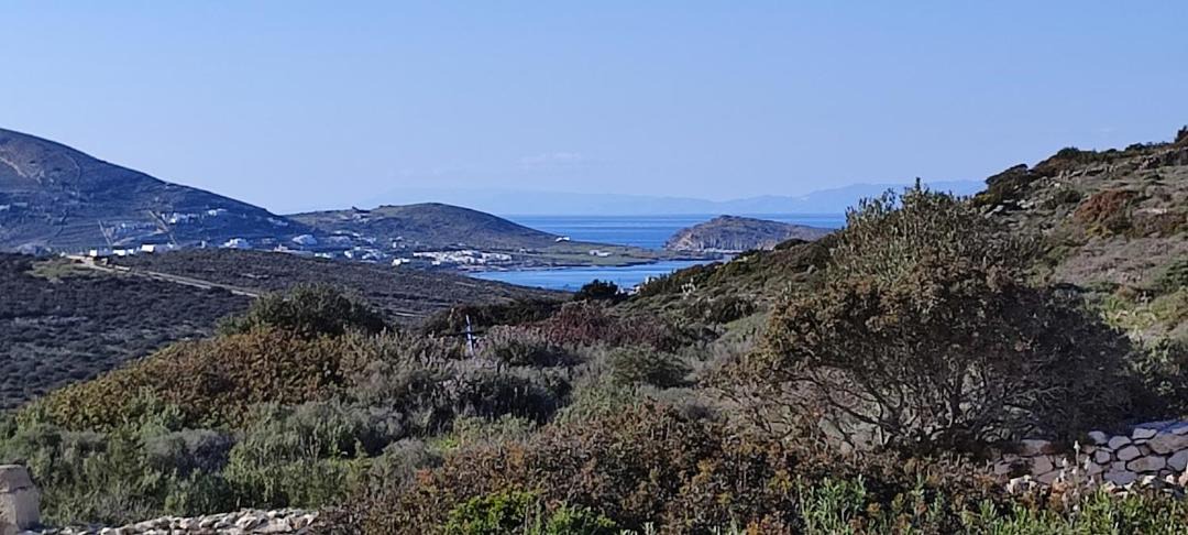 Photo of Others in Paros