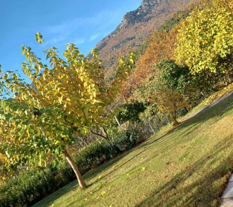 Photo of Outdoor in Mavromati