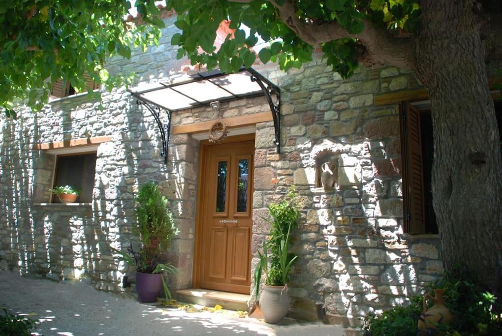 Photo of Buildings in Sipiada