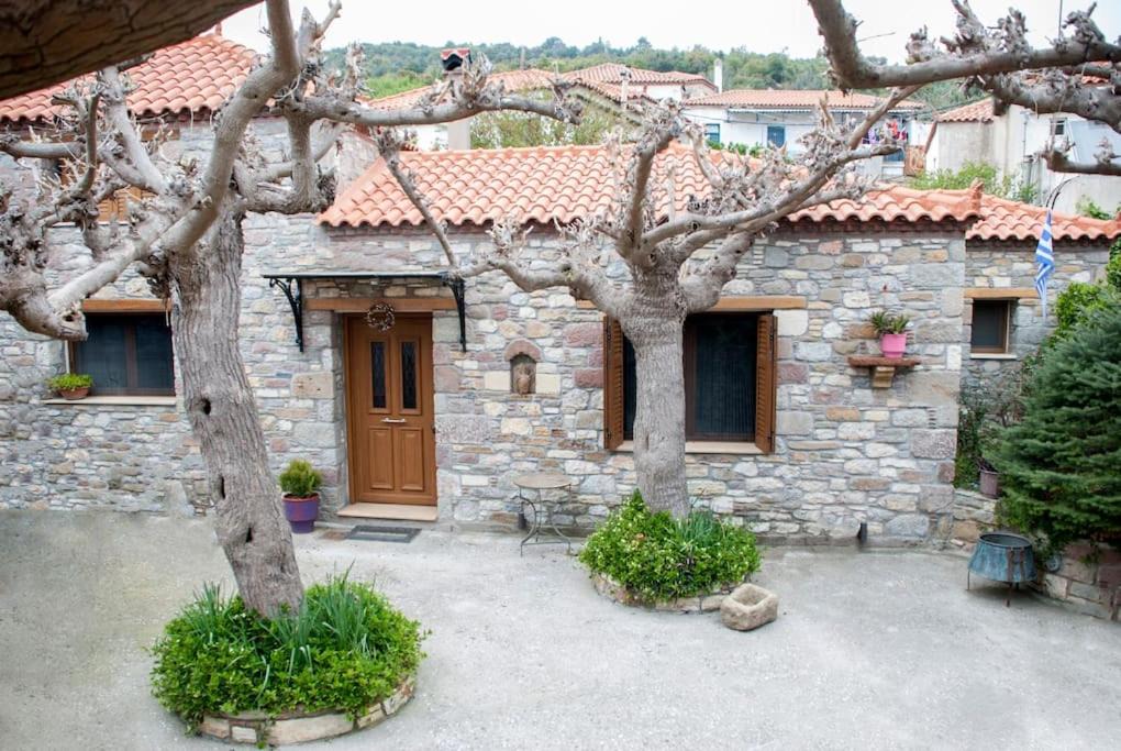 Photo of Others in Sipiada