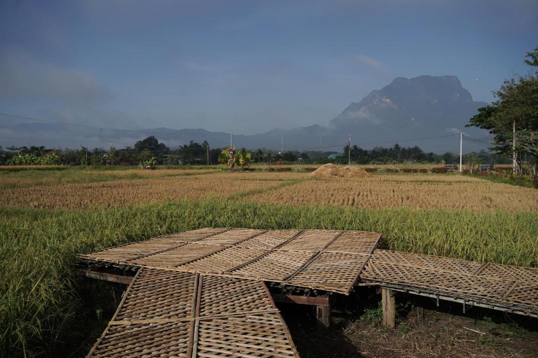 Photo of Others in Chiang Dao
