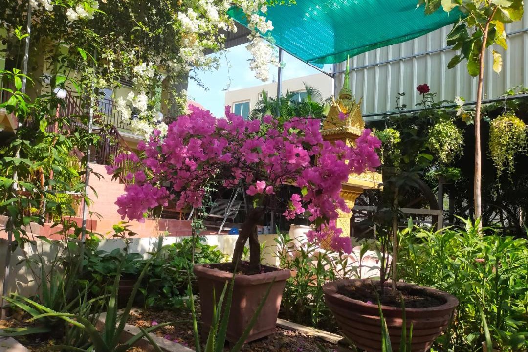 Photo of Others in Kampong Cham