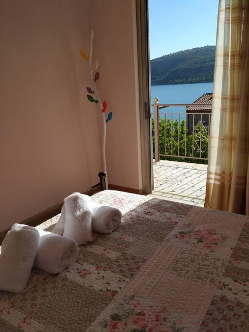 Photo of Others in Amfilochia