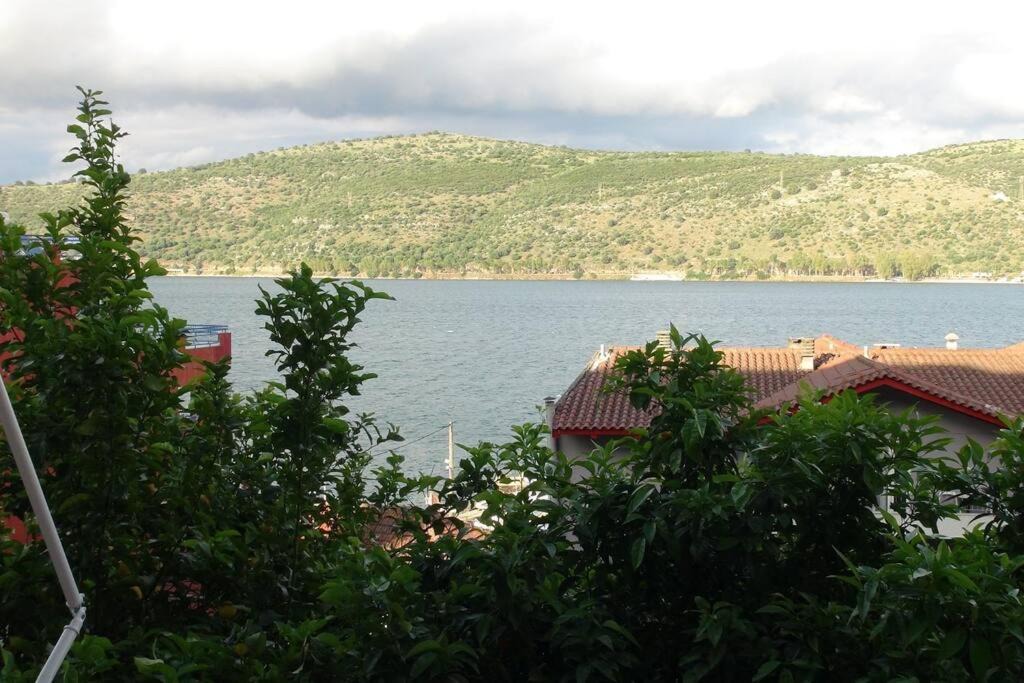 Photo of Others in Amfilochia