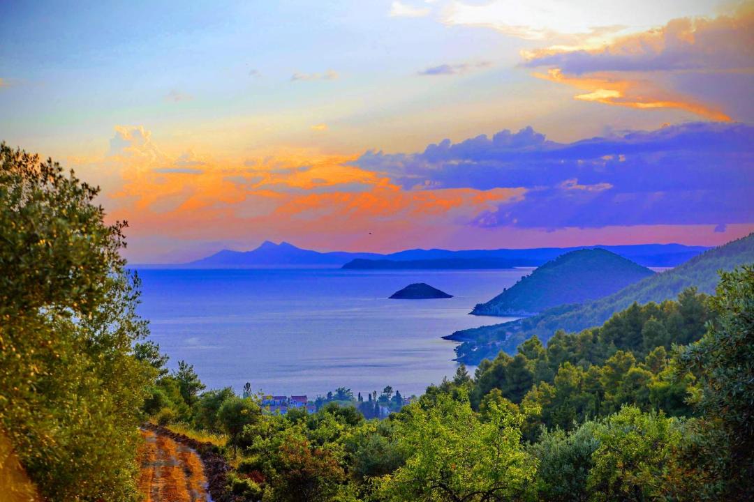 Photo of Others in Skopelos