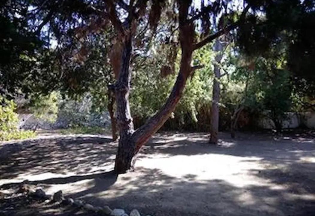 Photo of Others in Panormos