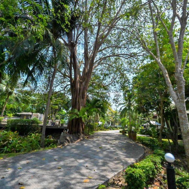 Photo of Outdoor in Maret
