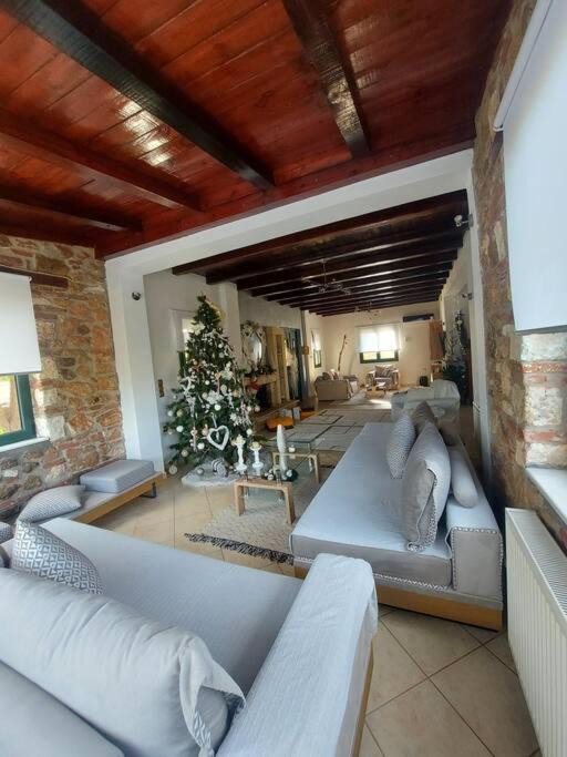 Photo of Livingroom in Chalcis