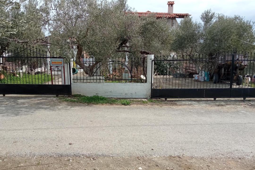 Photo of Others in Alexandroupoli