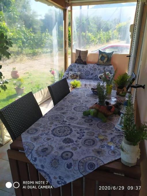 Photo of Patio Balcony in Paleros
