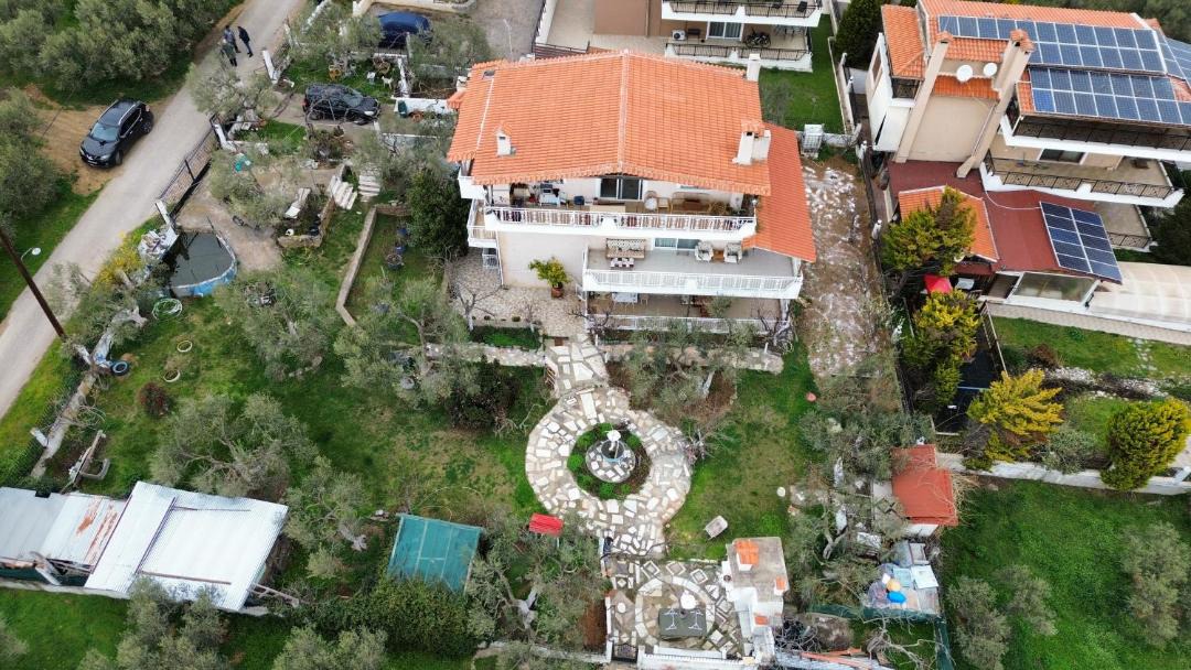 Photo of Others in Alexandroupoli